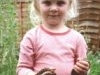 AmberHognose