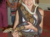 Coriholds5snakes