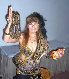 SnakesGalore Working with a Boa, Royal Python and a Corn Snake