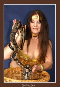 SnakeySue1 Working with Royal Pythons