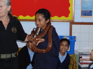 DSC00790