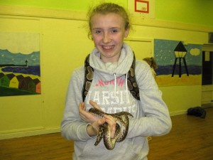 IMG_3310 (2)