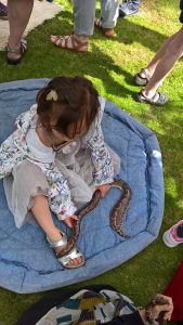 WP_20160625_15_38_03_Pro
