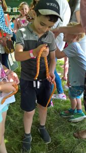 WP_20160716_14_21_57_Pro_LI